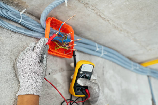 Best Electric Panel Repair  in Loyalhanna, PA